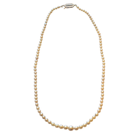 Pearl Necklace