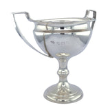 Silver Cup Trophy