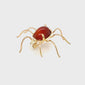 Cornelian Spider Brooch
