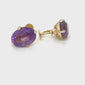 Amethyst Earrings