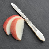 Silver Fruit Knife