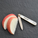 Silver Fruit Knife