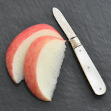 Silver Fruit Knife