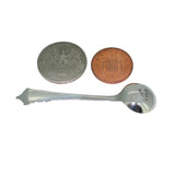 Silver Salt Spoon