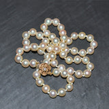 Single row of uniform cultured pearls (appx. 6.75 mm diameter) on 9ct yellow gold clasp set with single pearl.