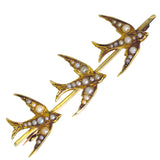 swallow brooch