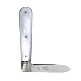 Silver Fruit Knife